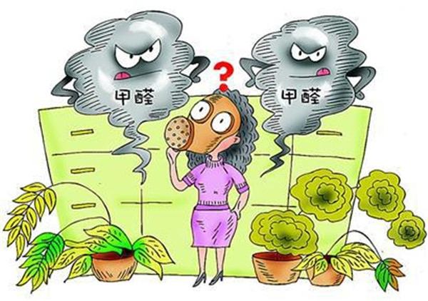 不知道除甲醛多少錢一平米？你就等著被坑吧！