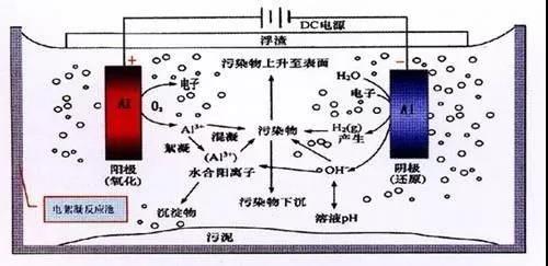 我買了一個甲醛檢測儀，吹口氣后發(fā)現原來我才是“地表最強”污染源！