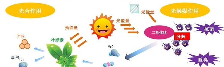 甲醛治理用什么辦法最正確？這三點常見的除甲醛辦法其實是誤區(qū)