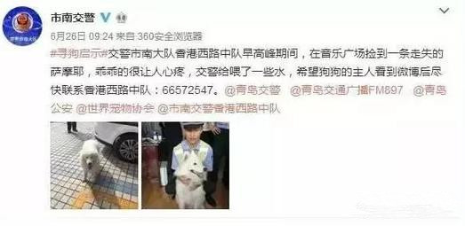 有問題找警察，薩摩耶派出所報案，不注意這件事，對狗狗致命，警察蜀黍卻幫不上忙！