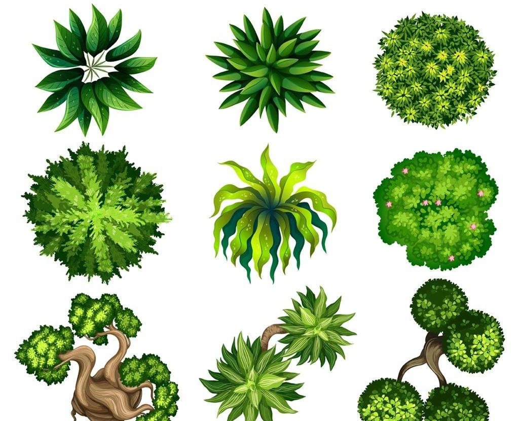 可以凈化室內空氣的植物，這二十種您需要好好了解一下！