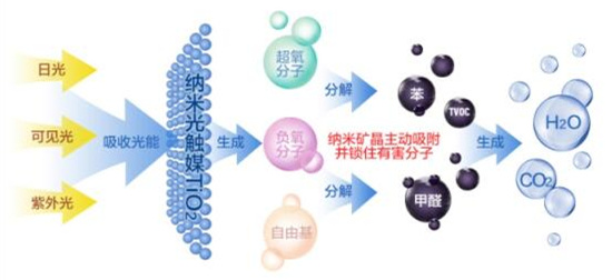 洋蔥可以除甲醛？民間流傳土方法可信嗎？
