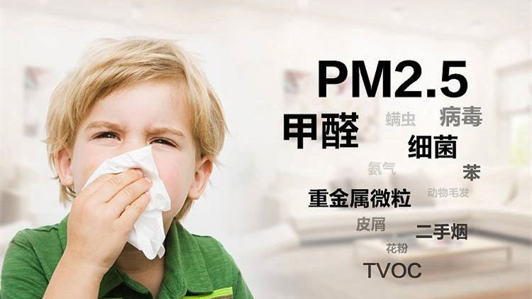 誰說二手車沒有甲醛？汽車除甲醛最有效方法告訴您