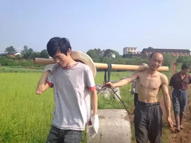 青春是用來奮斗的，除甲醛的青春最美麗！