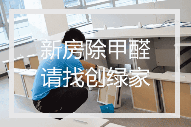 誰說***是多么寂寞，創(chuàng)綠家?guī)惺芟略?00強企業(yè)工作是怎樣的體驗！
