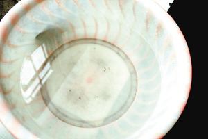 疫苗事件背后：您是否想過除甲醛產(chǎn)品也存在無效情況？