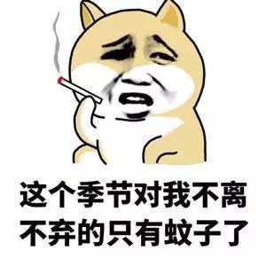 成分中有甲醛蚊香立馬變毒香，甚至還會致癌……