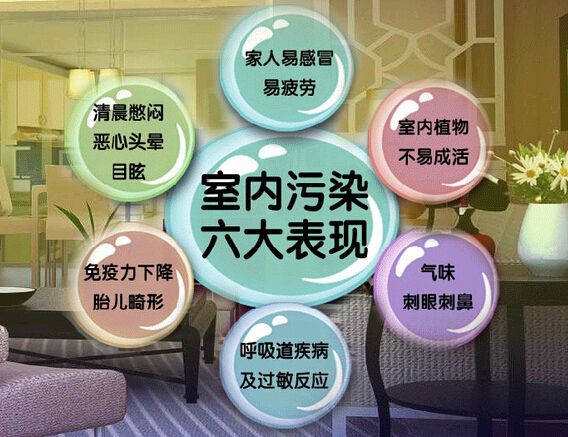 去甲醛加盟怎么樣？三點(diǎn)選址技巧讓您生意火爆