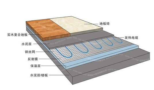 冬季，它們成了甲醛的幫兇