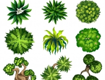 可以凈化室內(nèi)空氣的植物，這二十種您需要好好了解一下！