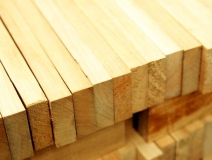 家長(zhǎng)們集體發(fā)聲：不要打著“環(huán)?！钡钠熳訉?duì)孩子痛下毒手！