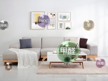 如何選擇除甲醛品牌？地域與口碑解析