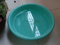 裝修完僅靠兩盆冷水就能除甲醛？這個說法連網(wǎng)友都出來辟謠！大家別再相信了！