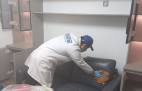 哪種方法除甲醛才是真正有效的呢？