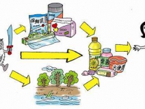 食品中有塑化劑嗎？這些食品中含有大量塑化劑，食用時(shí)一定要注意！