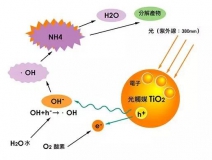 現(xiàn)在光觸媒的價格是多少？