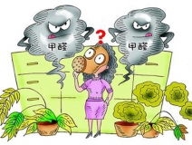 活性炭進(jìn)行甲醛治理真的有用嗎？