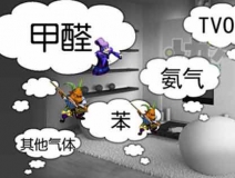 怎樣有效去除甲醛？