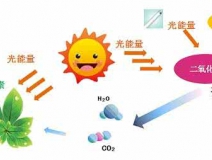 家中甲醛超標(biāo)，什么才是甲醛治理的正確姿勢(shì)？