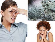 家里有異味怎么辦？科學(xué)除味、治理甲醛就對了！