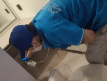 地毯也會(huì)引起甲醛超標(biāo)嗎？