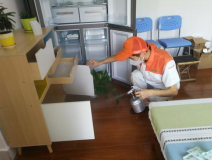 除甲醛公司是否靠譜？靠譜的公司有哪些特點？