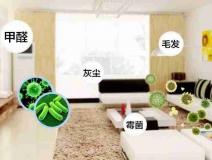 網(wǎng)上的除甲醛好辦法真的有效嗎？原理是什么