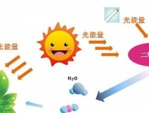 無光觸媒和光觸媒有什么區(qū)別？