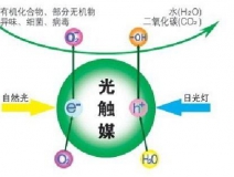 什么除甲醛效果最好呢？