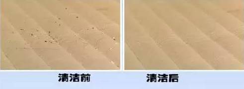 南京美女睡了10年的床墊，掀開后把全家人都嚇傻了……