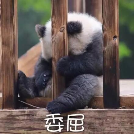 別大意！七大除甲醛“誤區(qū)”，信了你反而會(huì)生病！通風(fēng)、綠植、活性炭、熏蒸……你中招了嗎？