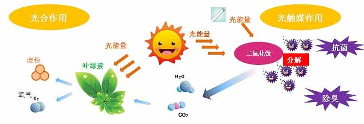 家中甲醛超標(biāo)，什么才是甲醛治理的正確姿勢？